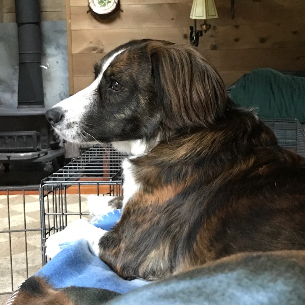 Meet your Posher, Eliza